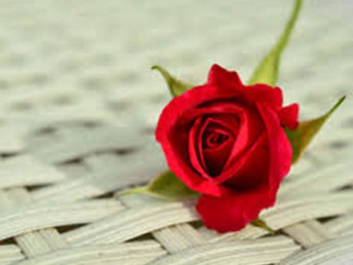 Anniversary